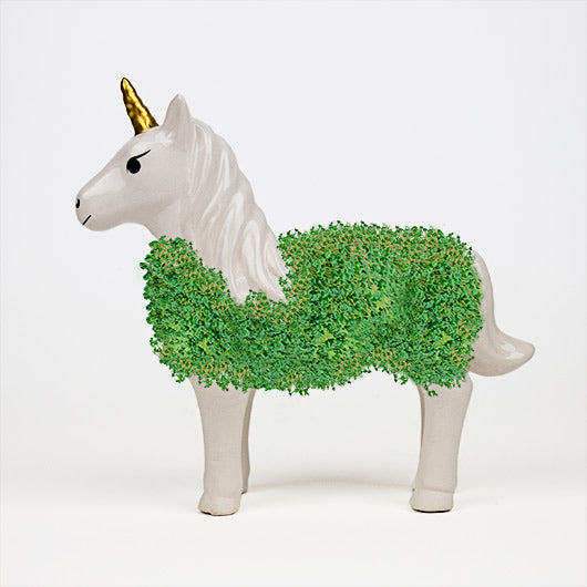 Gift Republic Planter with Seeds: Unicorn