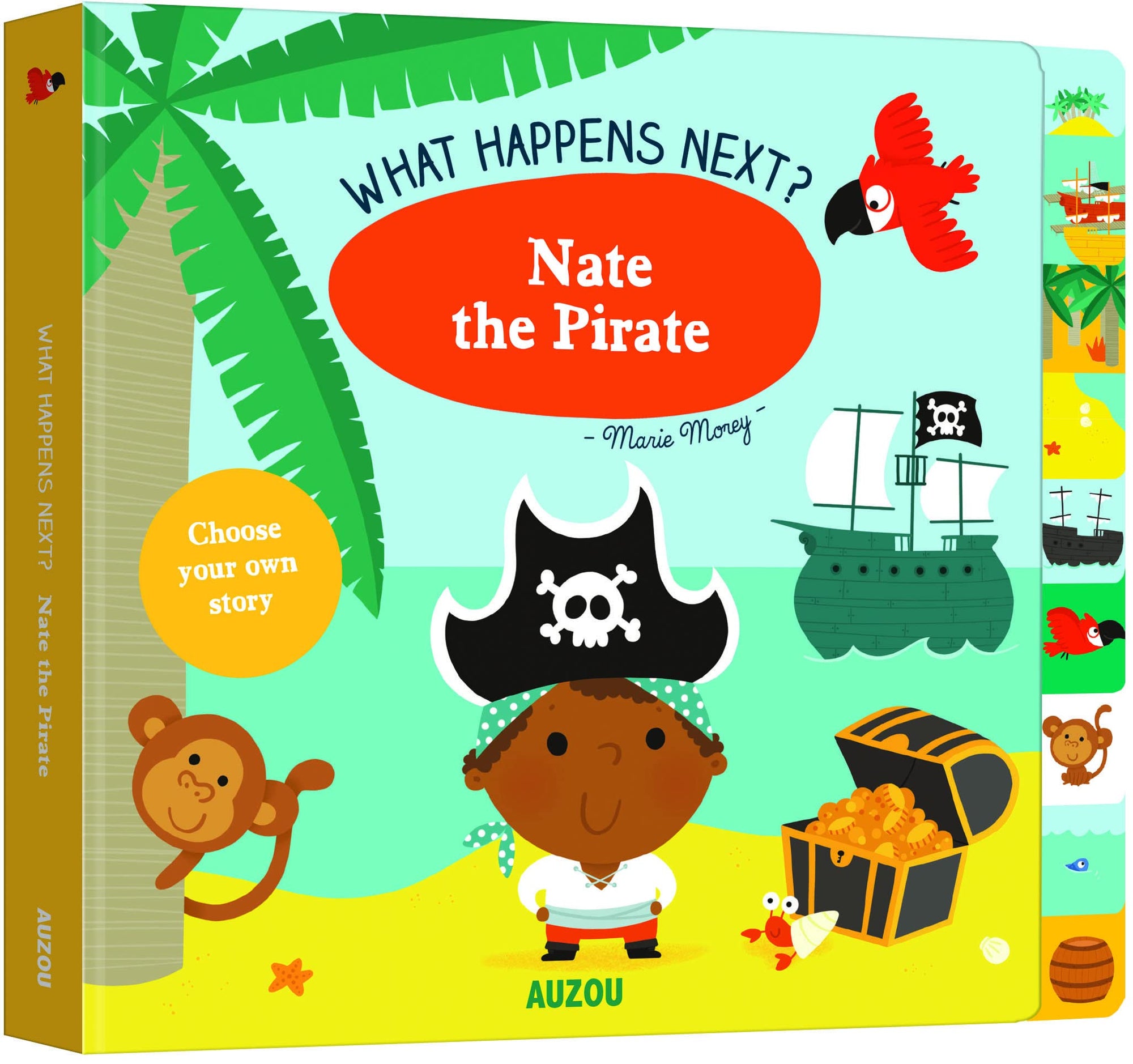 What Happens Next?: Nate the Pirate
