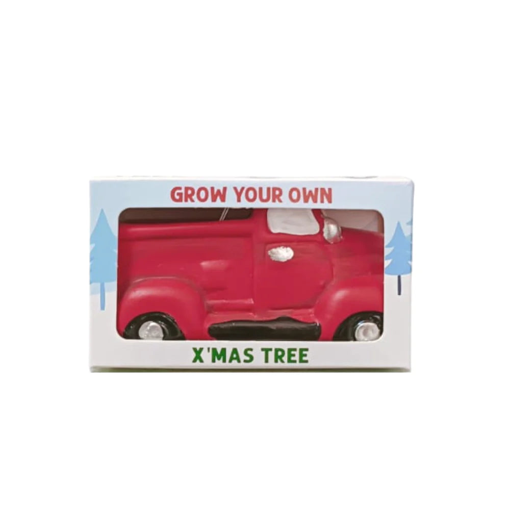 Boutique Garden Grow Your Own Xmas Tree Truck (Pine Trees)