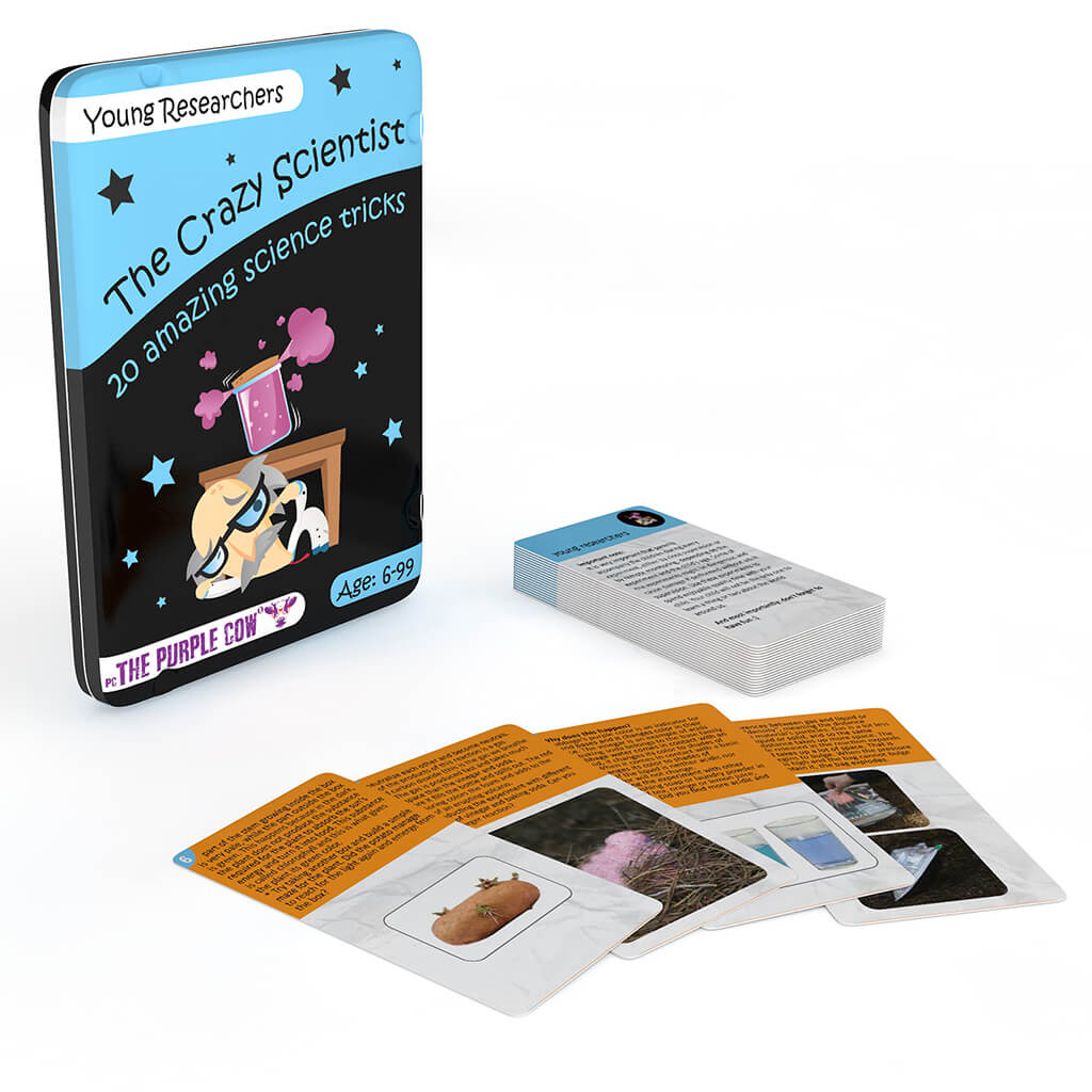 Purple Cow Crazy Scientist Activity Cards: Young Researchers