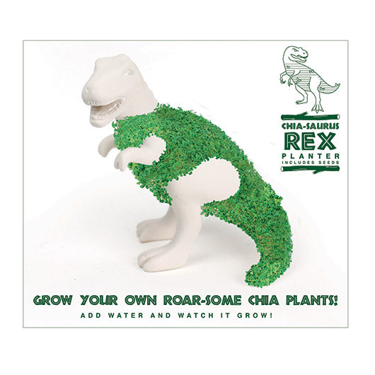 Gift Republic Planter with Seeds: Chiasaurusrex