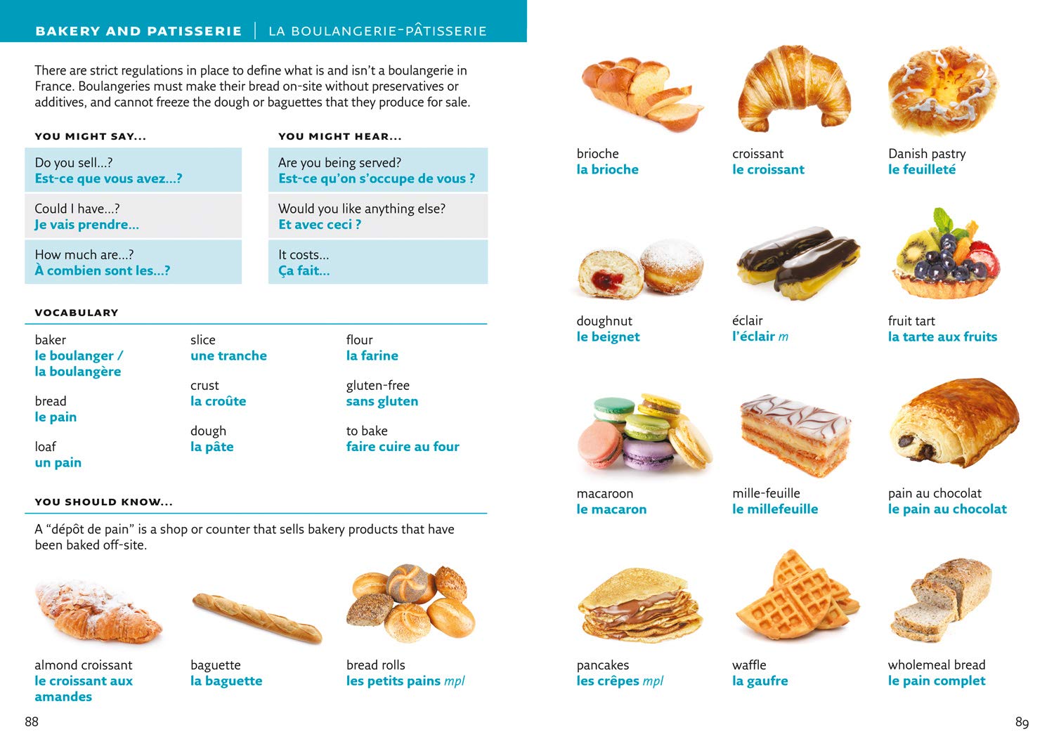 Collins Visual Dictionary French The Toy Folks