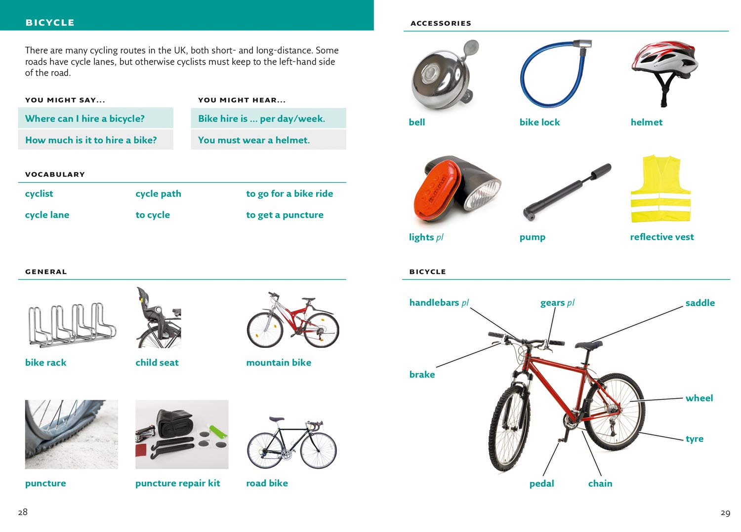 Collins Visual Dictionary: English – The Toy Folks