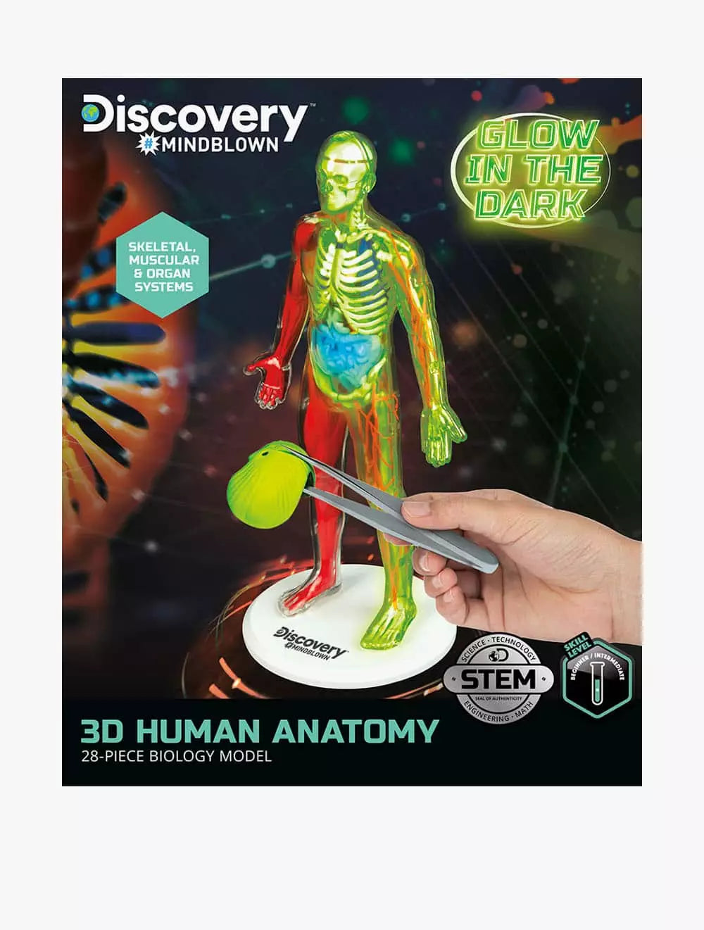 Discovery Mindblown 3D Human Anatomy