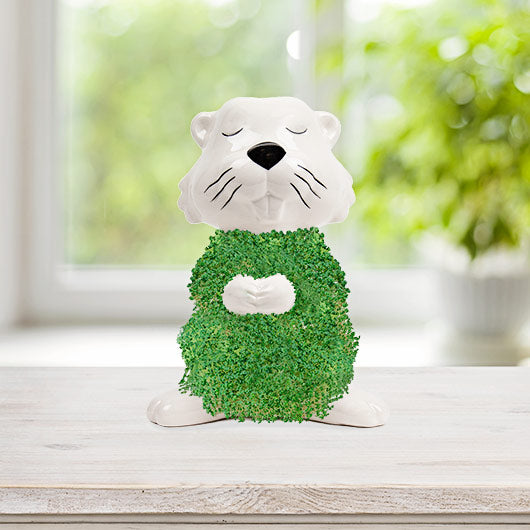 Gift Republic Planter with Seeds: Hairy Beaver