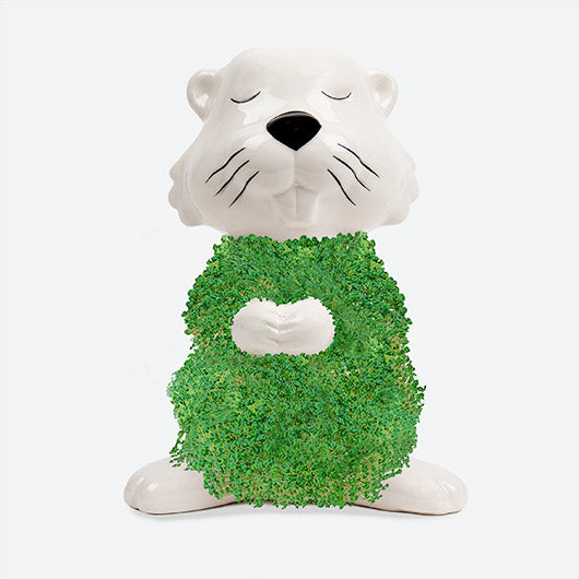 Gift Republic Planter with Seeds: Hairy Beaver