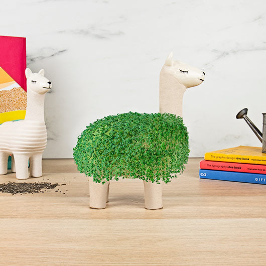 Gift Republic Planter with Seeds: Llama