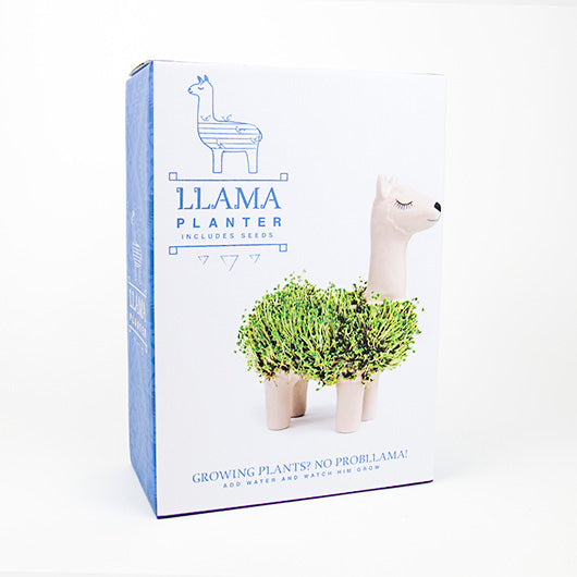 Gift Republic Planter with Seeds: Llama