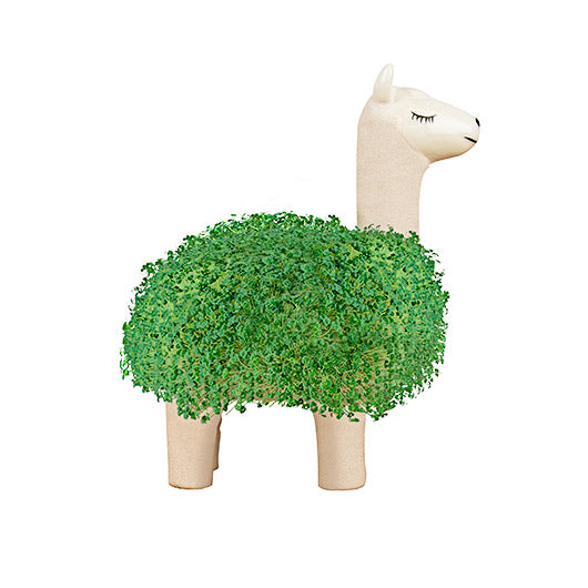 Gift Republic Planter with Seeds: Llama