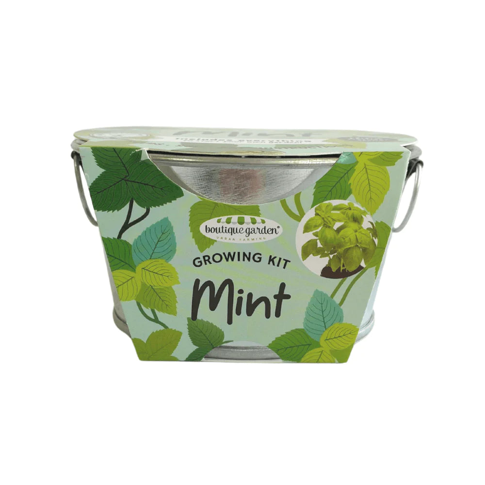 Boutique Garden Coloured Mini Zinc Basin: Mint