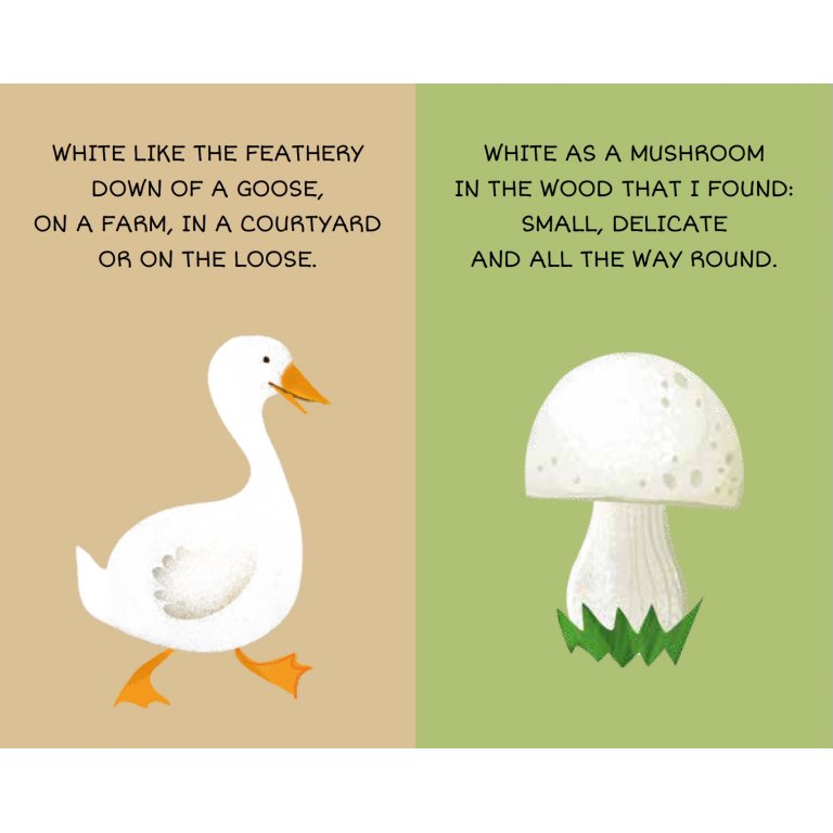 My First Library Colours