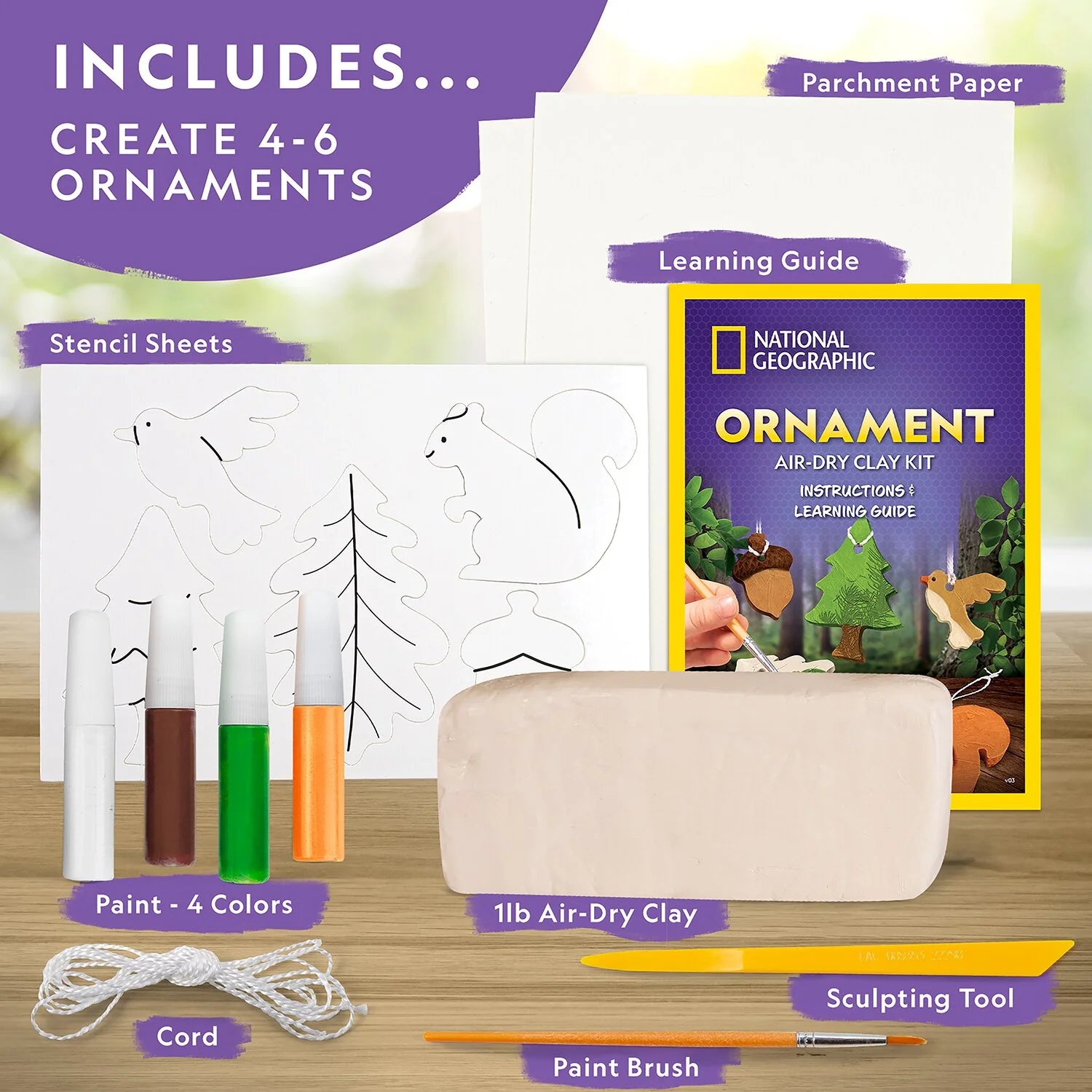 National Geographic Ornament Air-Dry Clay Kit