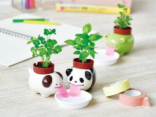 Seishin Peropon Animals Frog: Peppermint