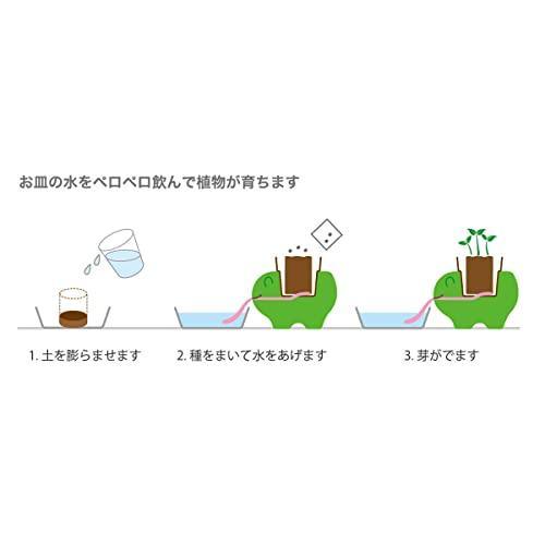 Seishin Peropon Animals Frog: Peppermint