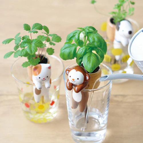 Seishin Shippon Monkey: Basil