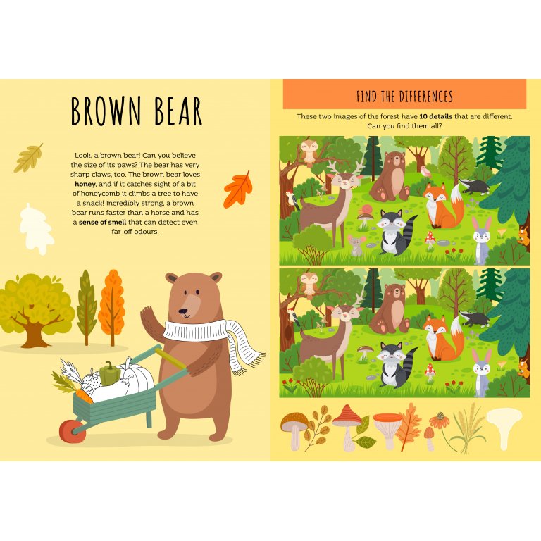 Stickers & Activities: The Forest