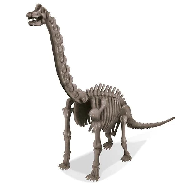 4M KidzLabs Dig A Dinosaur Skeleton: Brachiosaurus