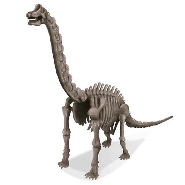 4M KidzLabs Dig A Dinosaur Skeleton: Brachiosaurus