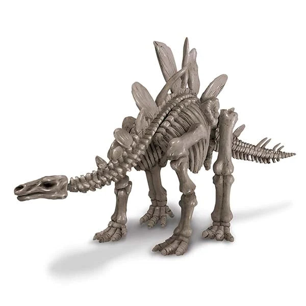 4M KidzLabs Dig A Dinosaur Skeleton: Stegosaurus