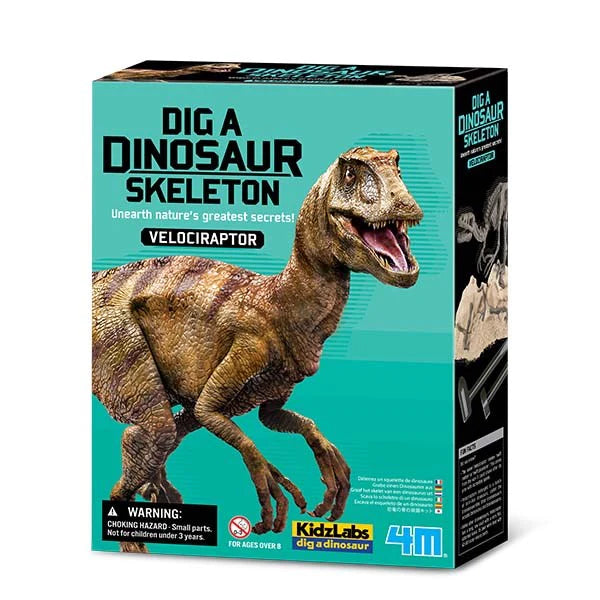 4M KidzLabs Dig A Dinosaur Skeleton: Velociraptor