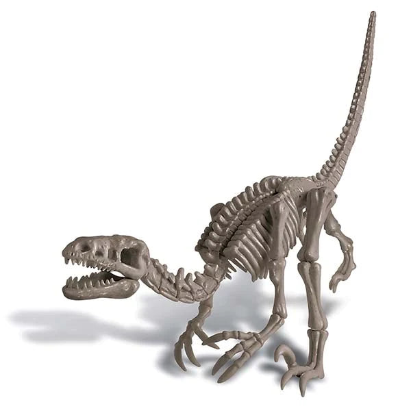 4M KidzLabs Dig A Dinosaur Skeleton: Velociraptor