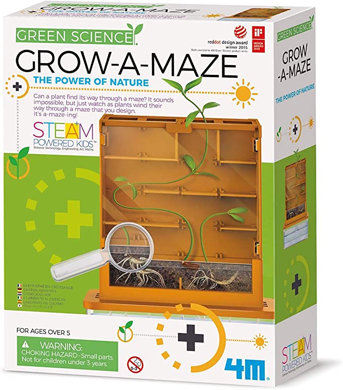 4M Green Science Grow-A-Maze