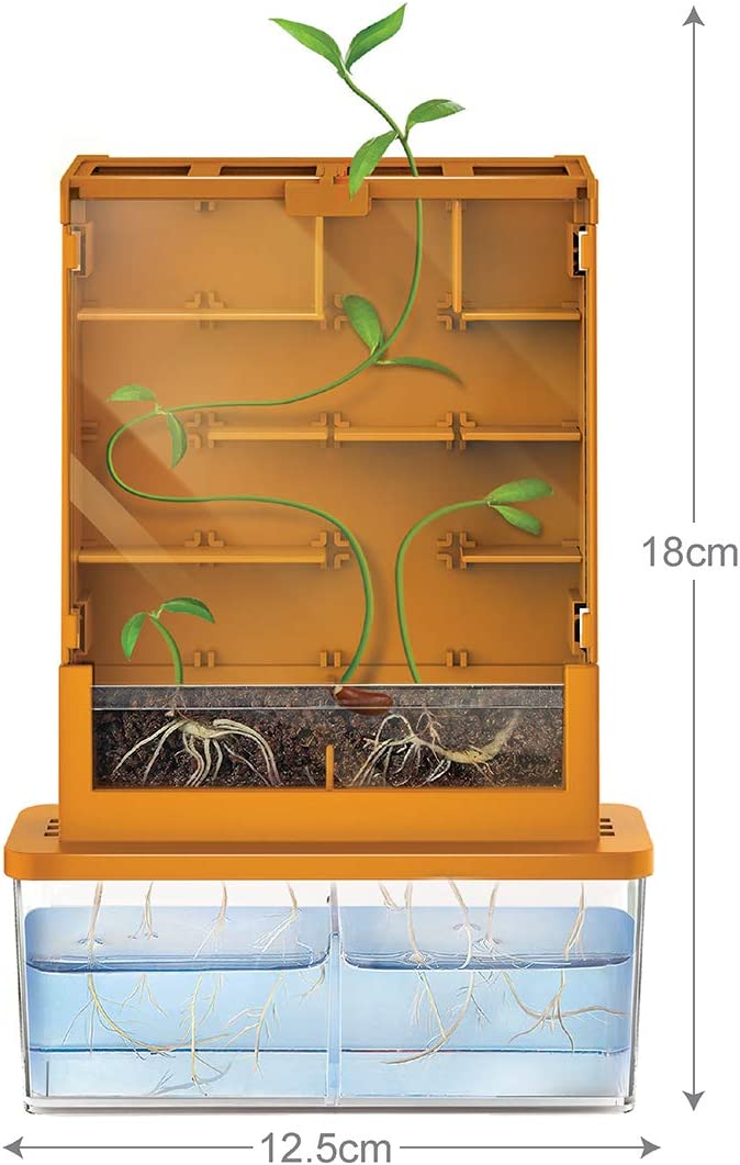 4M Green Science Grow-A-Maze