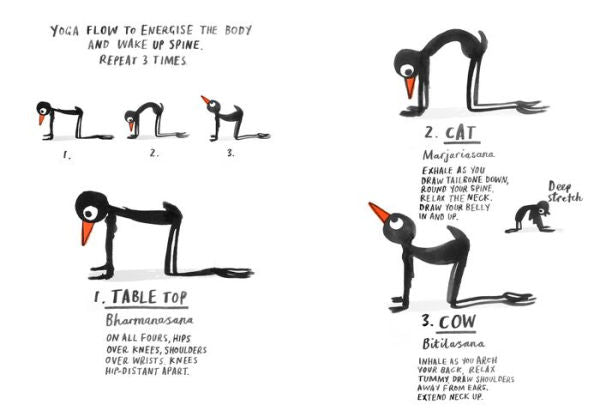 Yoga For Stiff Birds