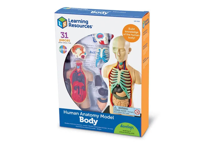 Learning Resources Human Anatomy Model: Body